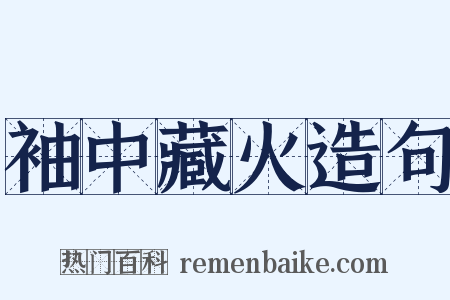 袖中藏火造句是什么意思的图片